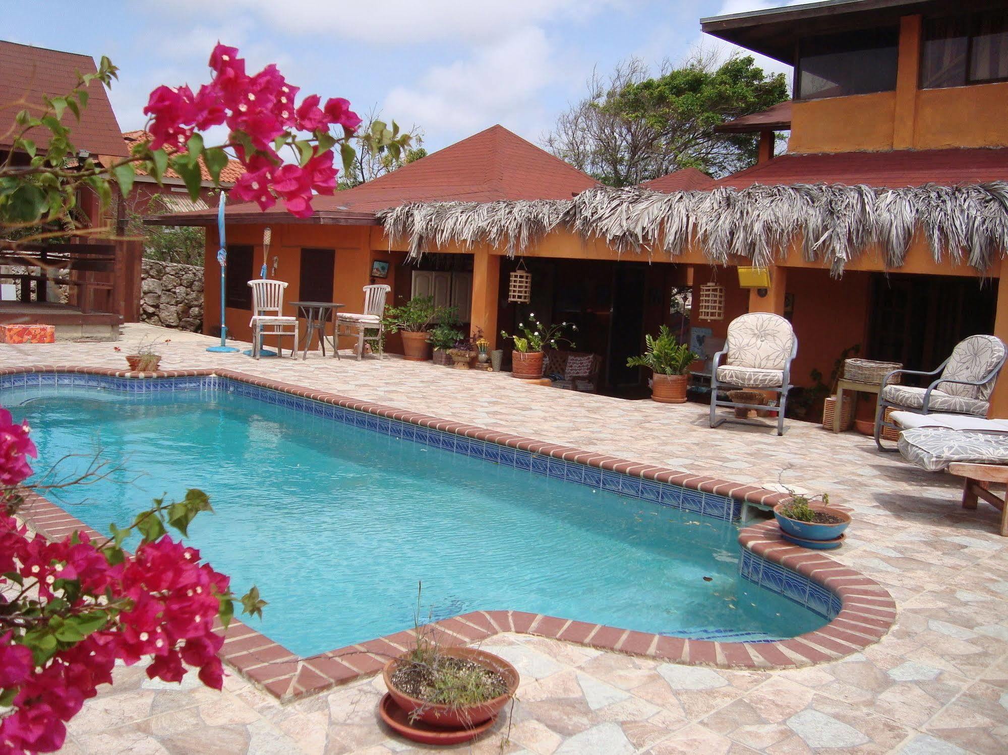 FUEGO MIO BED BREAKFAST SANTA CRUZ ARUBA REAL